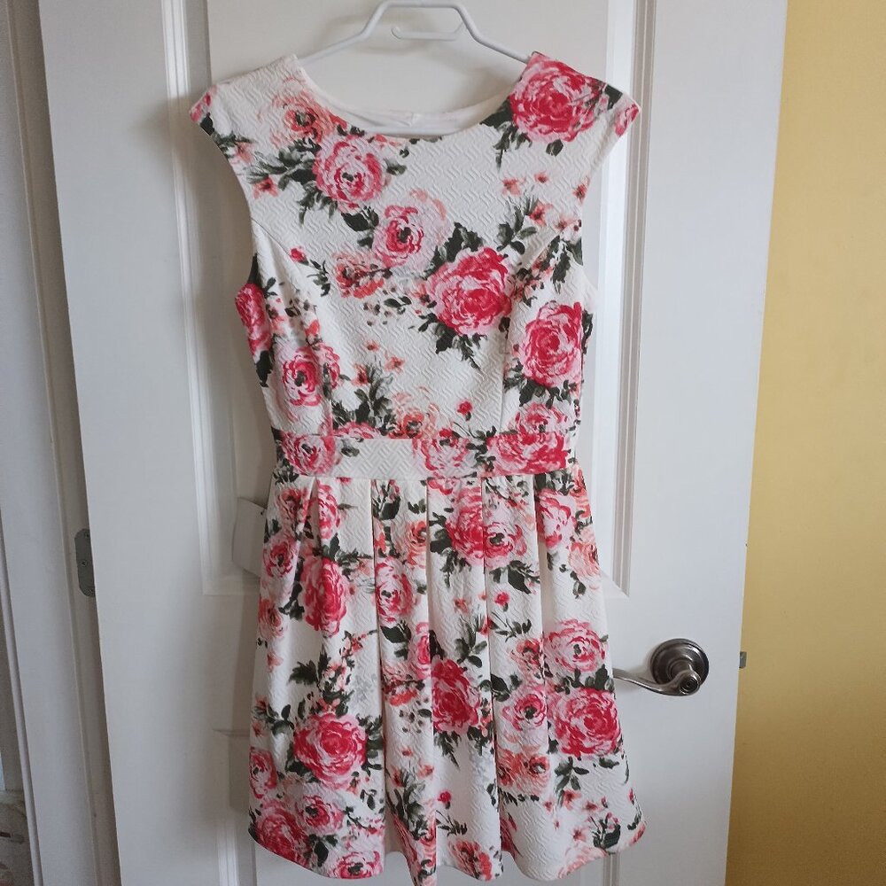 Women's NEW Emerald Sundae Floral Sleeveless Dress Size Medium